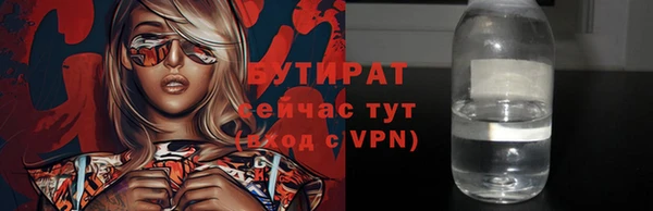 гашик Алексин